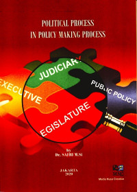 Political Process In Policy Making Process
